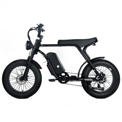 Electric Mountain Bike for Adults | 20 x 4.0 Fat Tires, 1000W Motor, 48V 20Ah Removable Battery, Speed 45MPH, 7-Speed for Off-Road Adventures