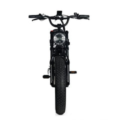 Electric Mountain Bike for Adults | 20 x 4.0 Fat Tires, 1000W Motor, 48V 20Ah Removable Battery, Speed 45MPH, 7-Speed for Off-Road Adventures