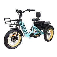 20-Inch 48V 750W Foldable Fat-Tire Electric Trike, 330-Lb. Capacity