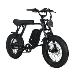 Electric Mountain Bike for Adults | 20 x 4.0 Fat Tires, 1000W Motor, 48V 20Ah Removable Battery, Speed 45MPH, 7-Speed for Off-Road Adventures