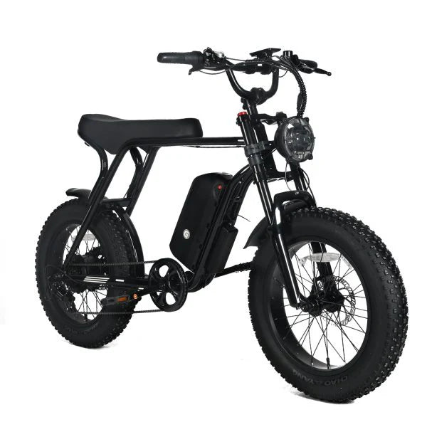 Electric Mountain Bike for Adults | 20 x 4.0 Fat Tires, 1000W Motor, 48V 20Ah Removable Battery, Speed 45MPH, 7-Speed for Off-Road Adventures